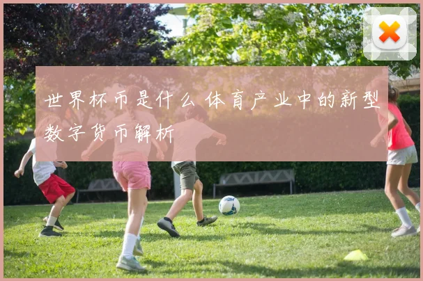 世界杯币是什么 体育产业中的新型数字货币解析