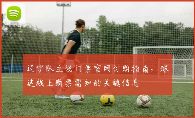 辽宁队主场门票官网订购指南,球迷线上购票需知的关键信息