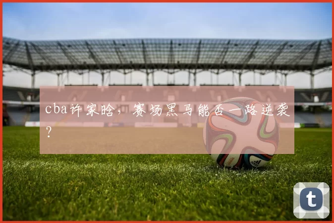 cba许家晗，赛场黑马能否一路逆袭？