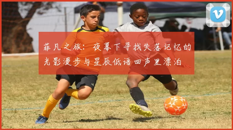 菲凡之旅：夜幕下寻找失落记忆的光影漫步与星辰低语回声里漂泊