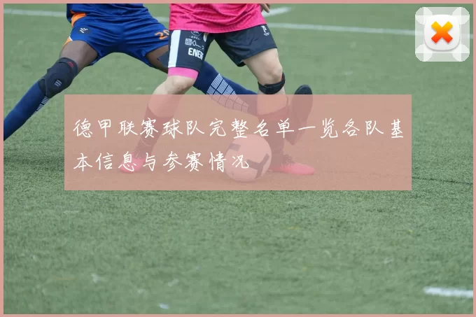 德甲联赛球队完整名单一览各队基本信息与参赛情况