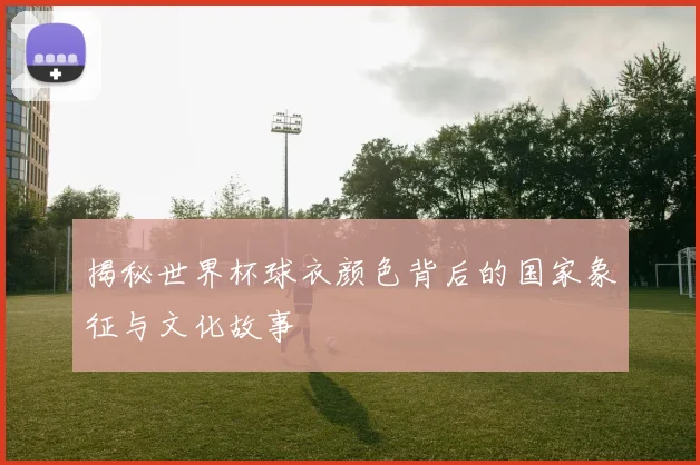 揭秘世界杯球衣颜色背后的国家象征与文化故事