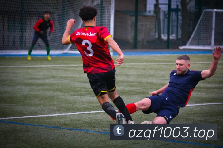 开云(中国)Kaiyun·体育官方网站 - 登录入口APP 封面图